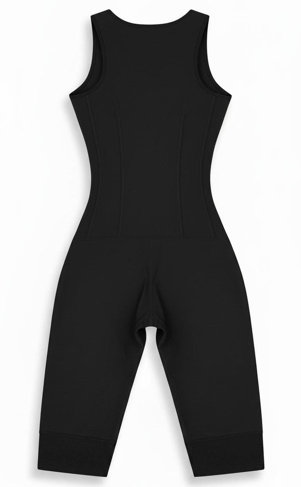 فاجا برمودا