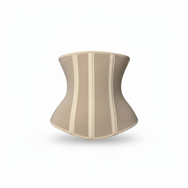 مشد التلزيق